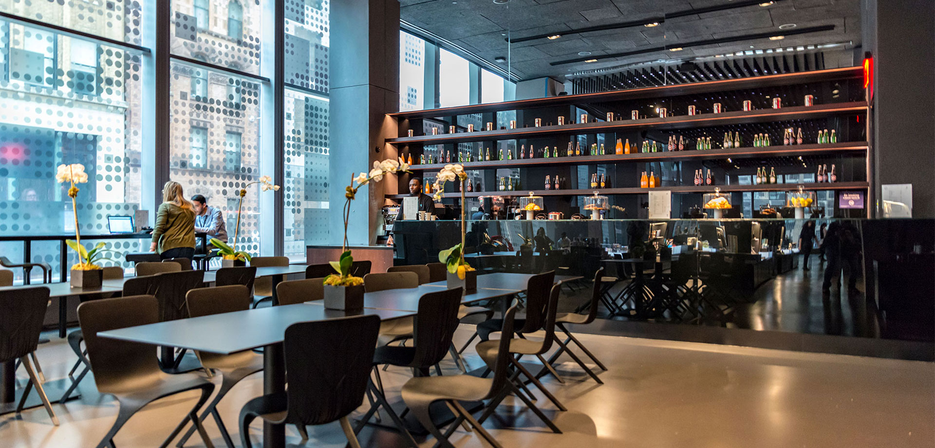 Project Skyscape Header 2