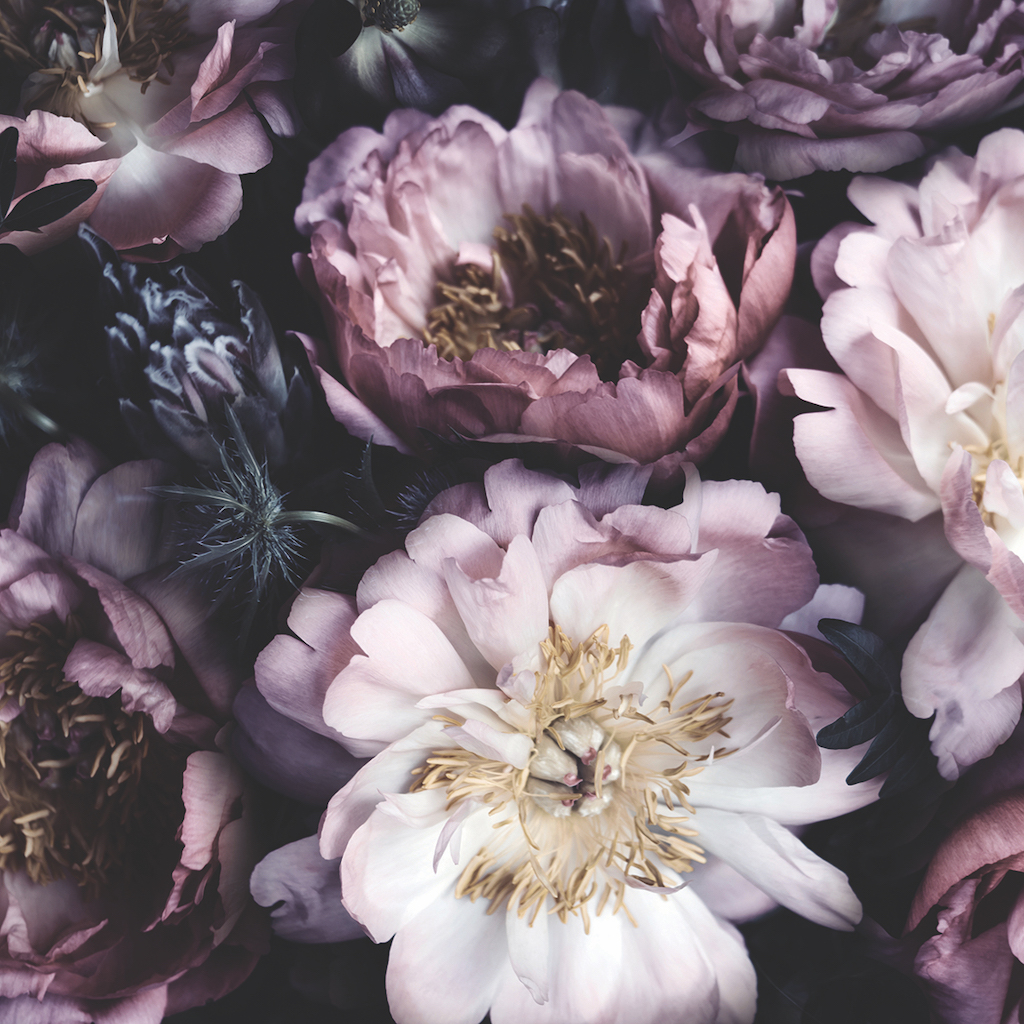 Adobestock 305540194 Crop