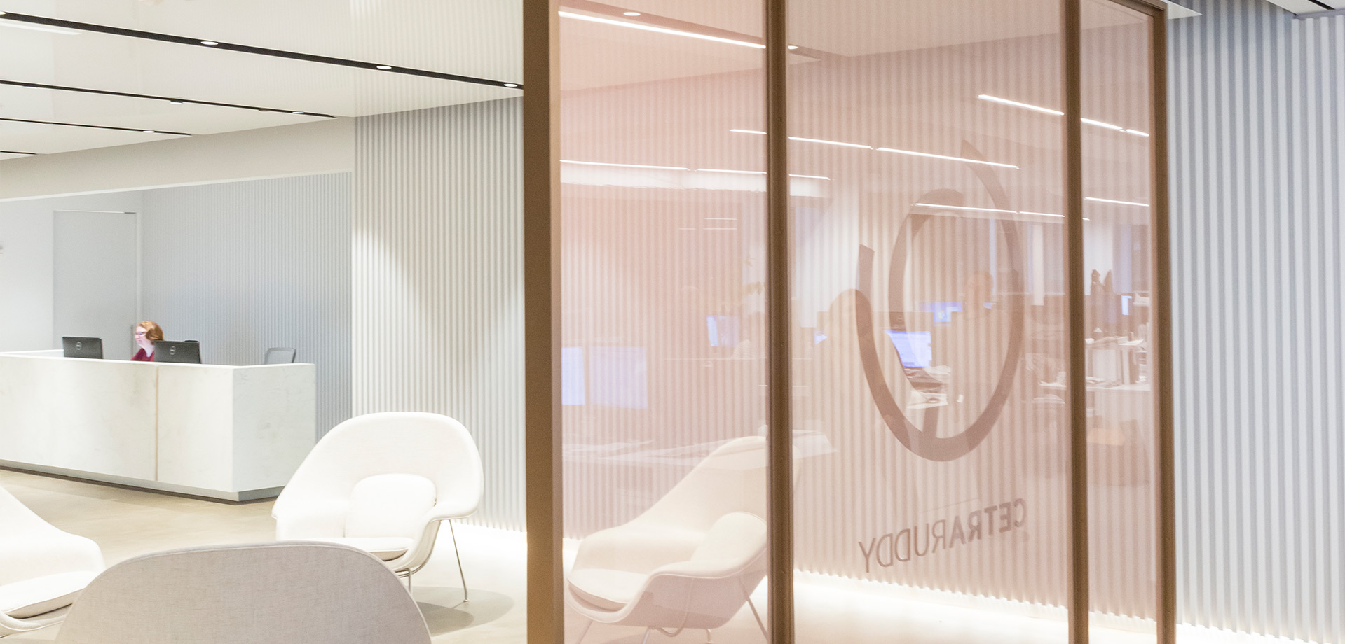 Project Cetra Ruddy Gallery 4