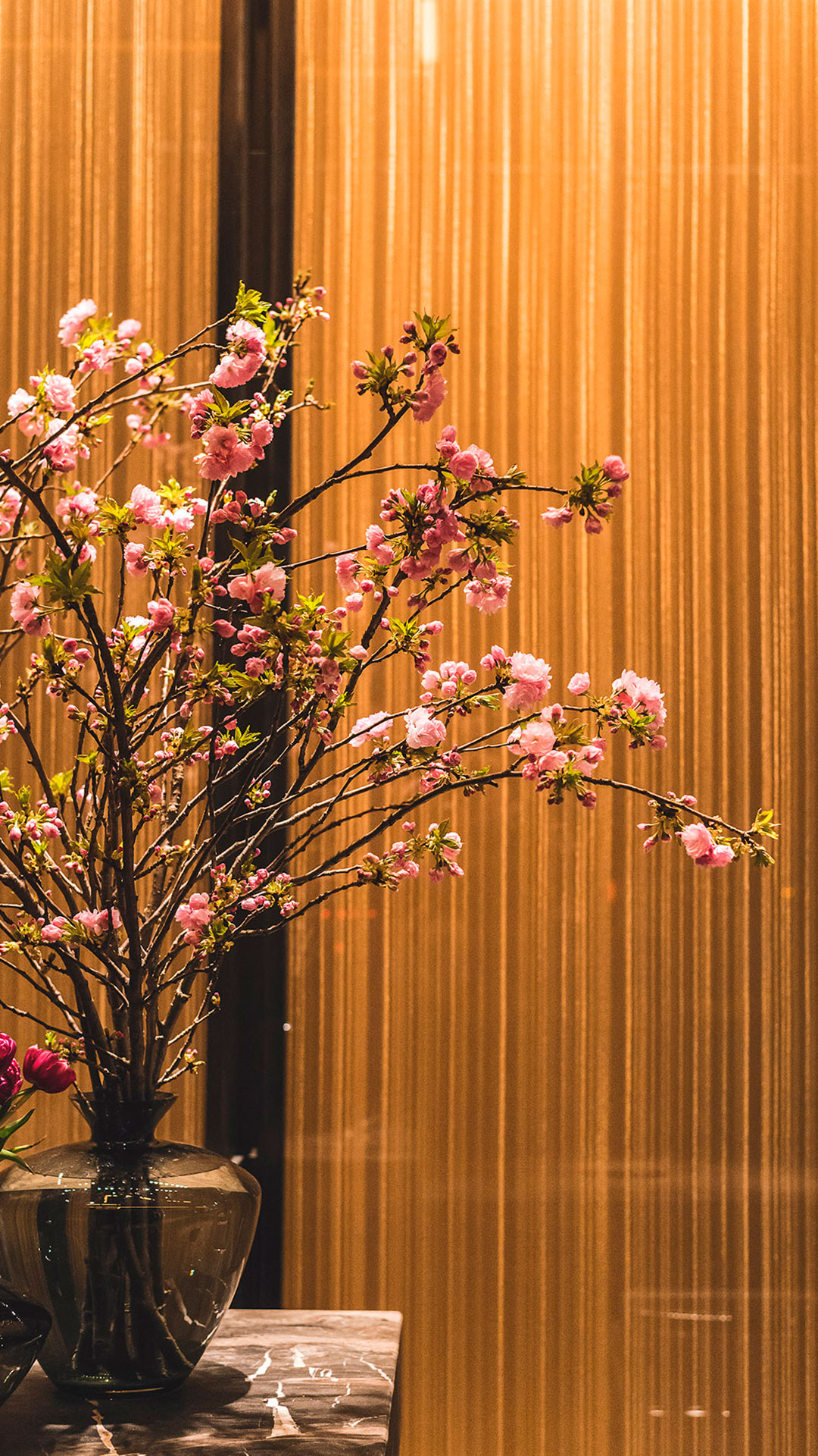 Project Four Seasons Hotel Gallery 3