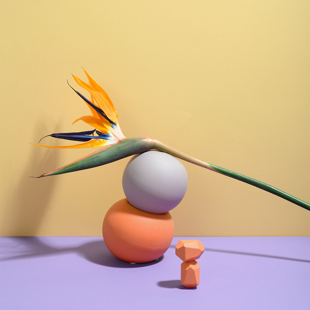 Inspiration Bird Of Paradise