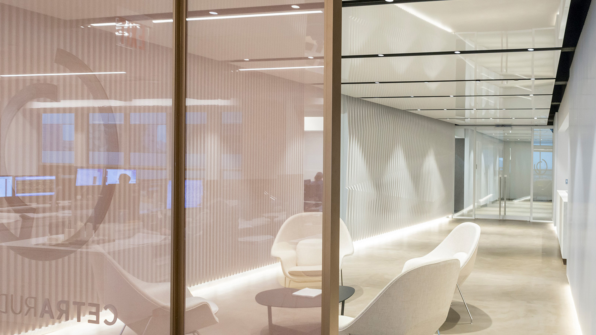 Project Cetra Ruddy Gallery 2